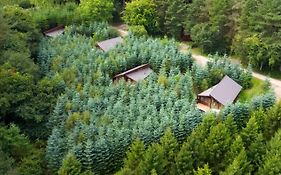 Delamere Forest Cabins - Forest Holidays