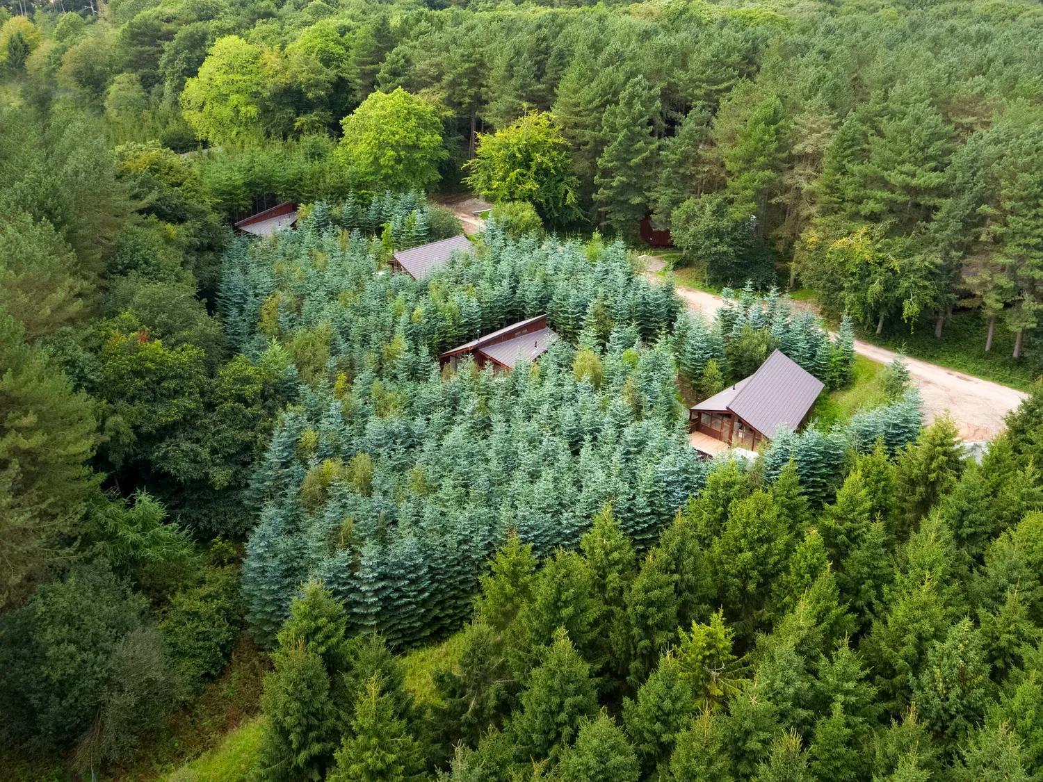 Delamere Forest Cabins - Forest Holidays Mouldsworth Exterior photo
